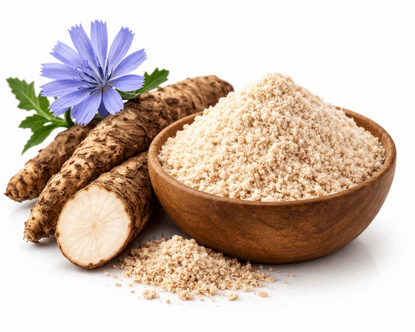 Chicory Root Fiber - Fibruline™ & Fibrulose™