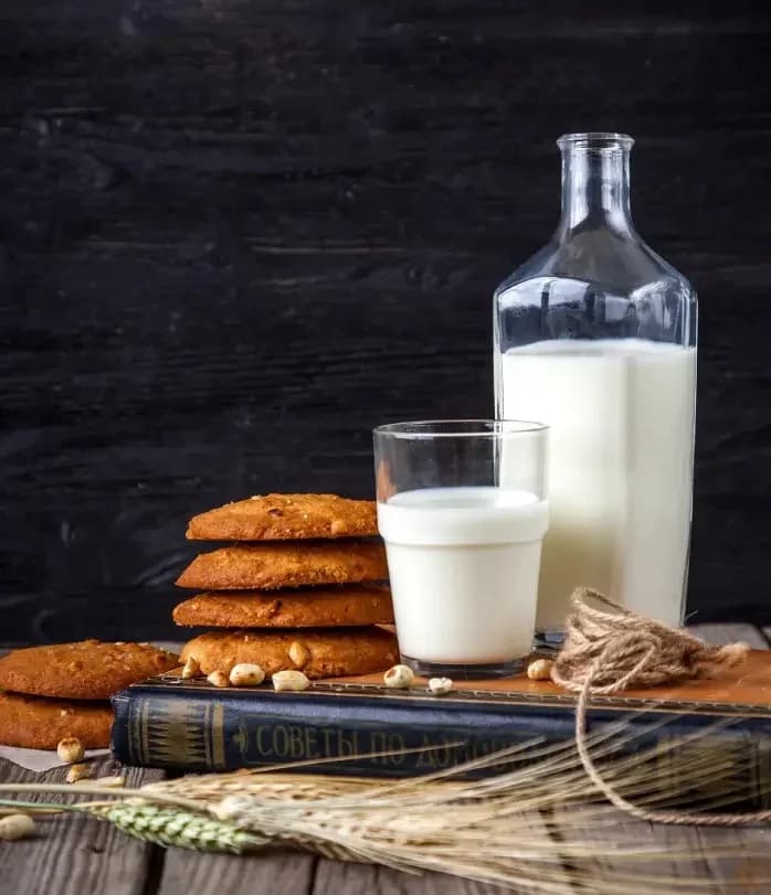 Vegan Milk Powder
