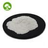 Protease (Dough Relaxant)