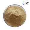 Beta-Glucanase (Wort Filtration)