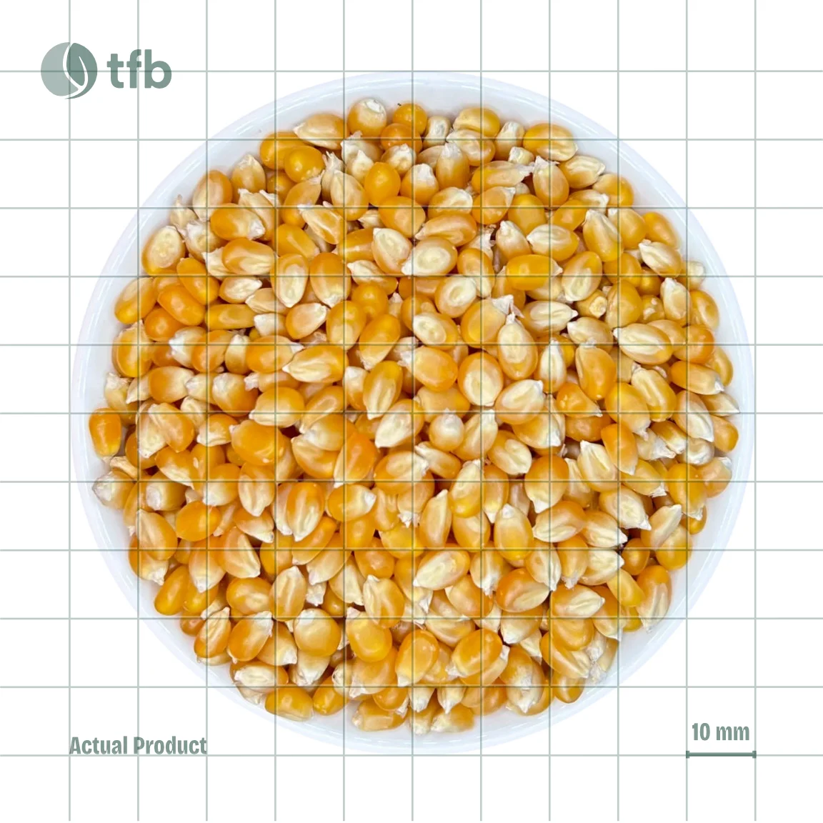 Popping Corn