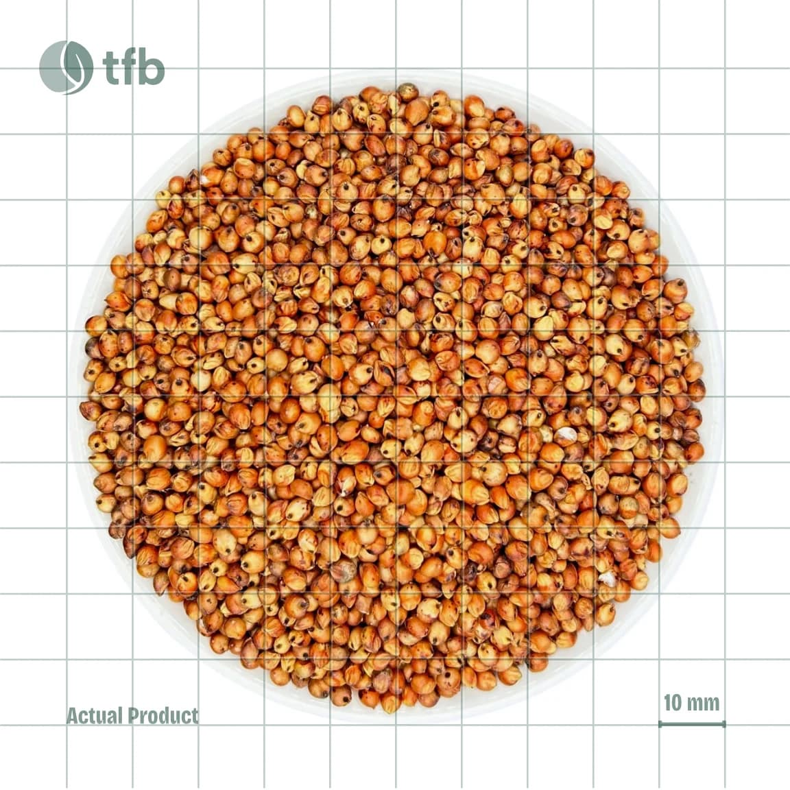 Red Sorghum Grain